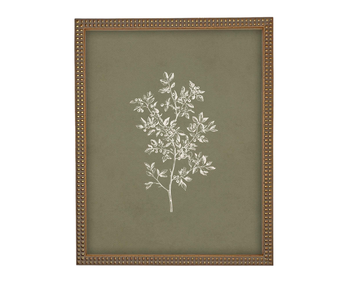 Vintage Framed Botanical Sketch #BOT-169