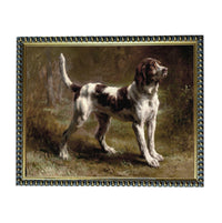 A brown and white dog standing in a grassy field, with a forested background.