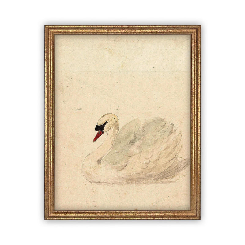 Vintage Framed Canvas White Swan Art #A-101