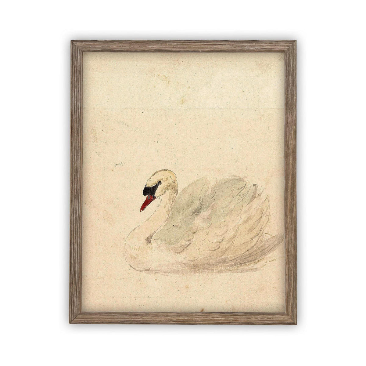Vintage Framed Canvas White Swan Art #A-101