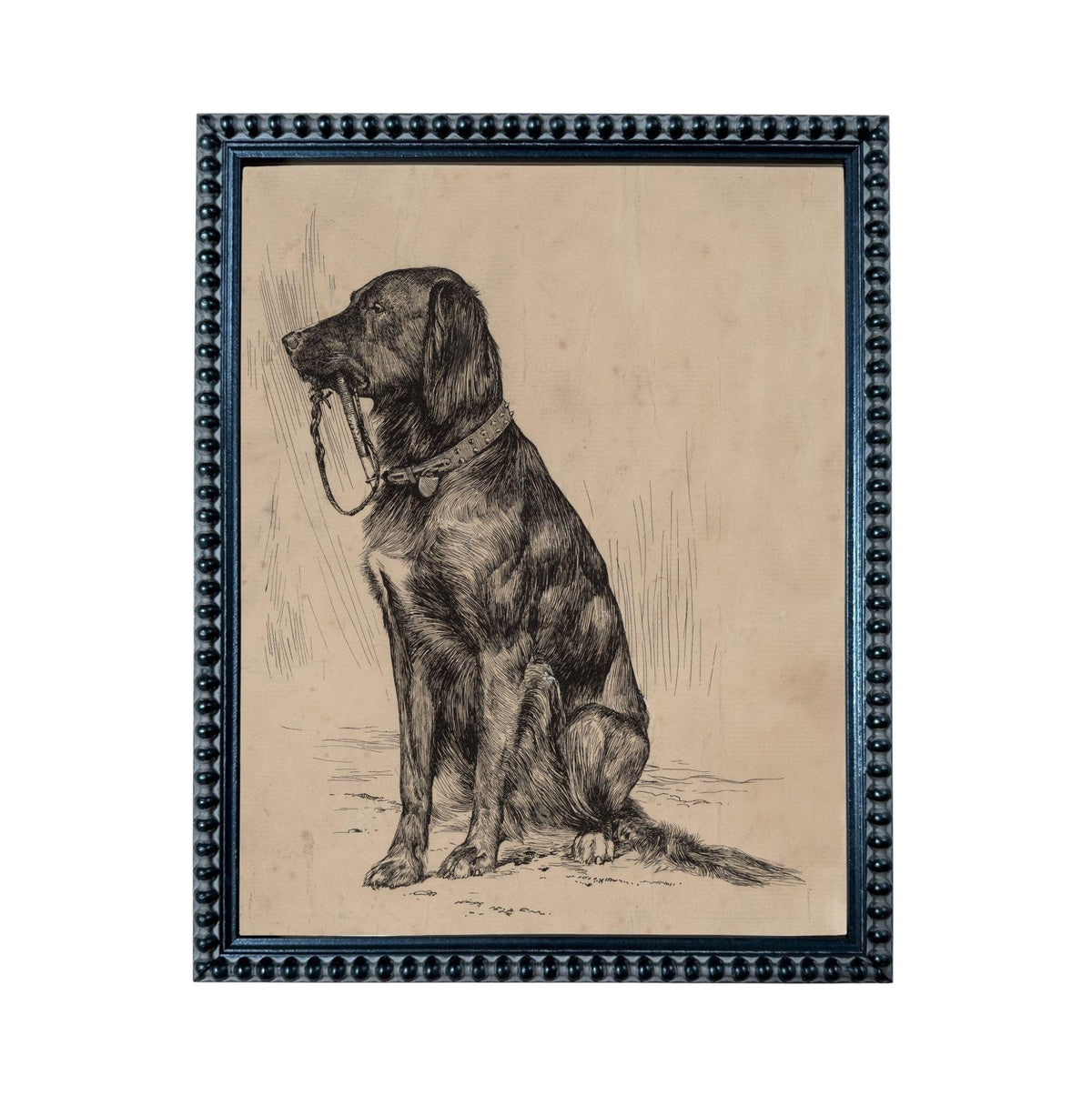 A black and white illustration of a dog sitting on the ground, wearing a collar and leash.