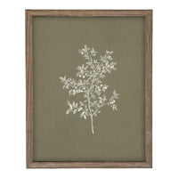 Framed Vintage Botanical Print on Canvas #ST-170