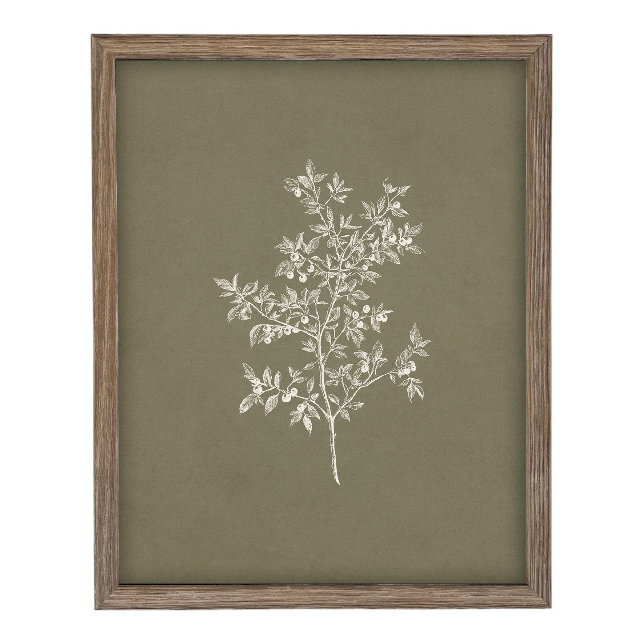 Framed Vintage Botanical Print on Canvas #ST-170