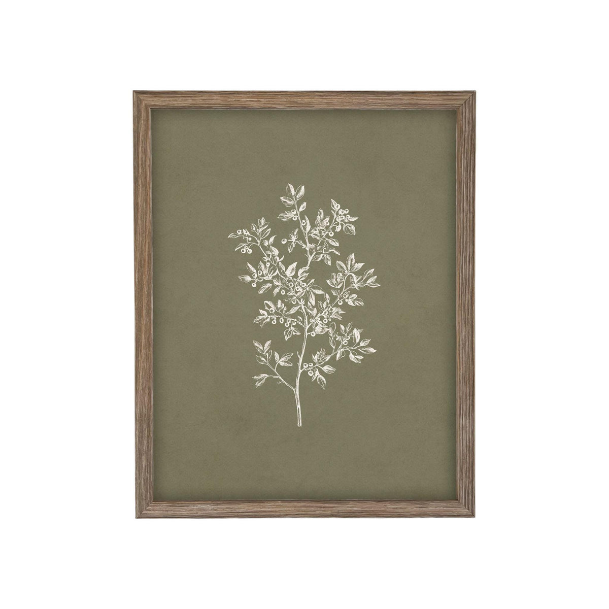 Framed Vintage Botanical Print on Canvas #ST-169