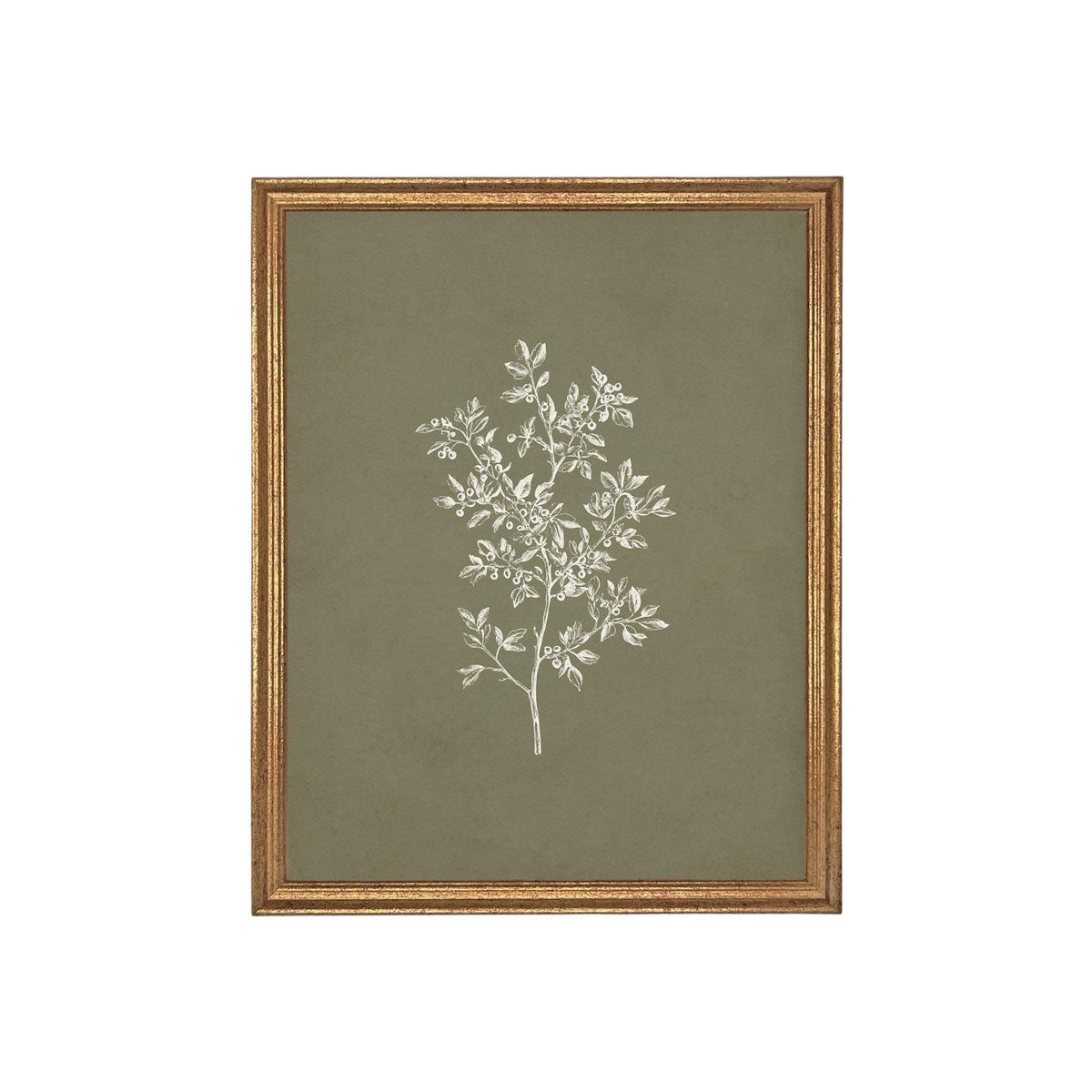 Framed Vintage Botanical Print on Canvas #ST-169