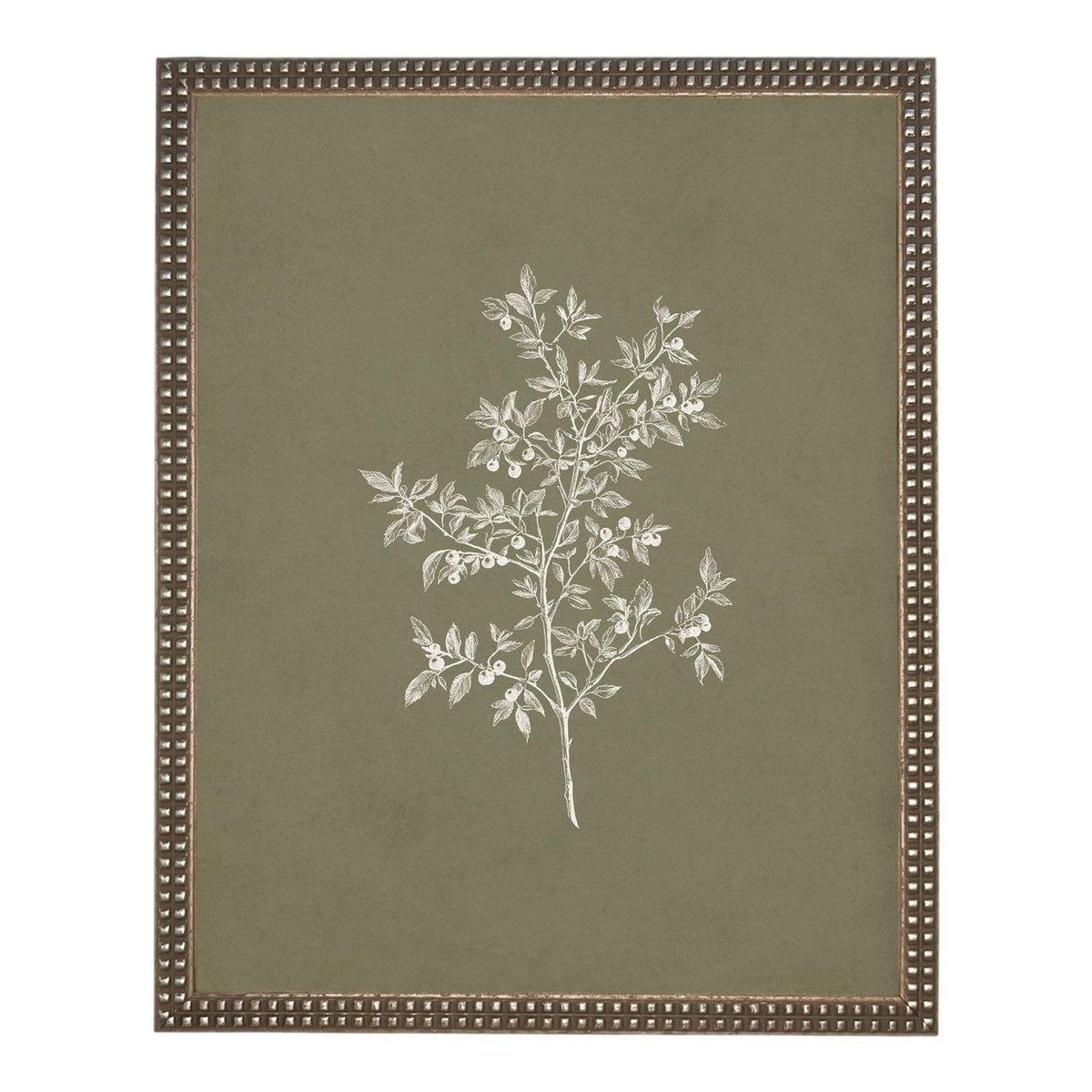 Framed Vintage Botanical Print on Canvas #ST-170