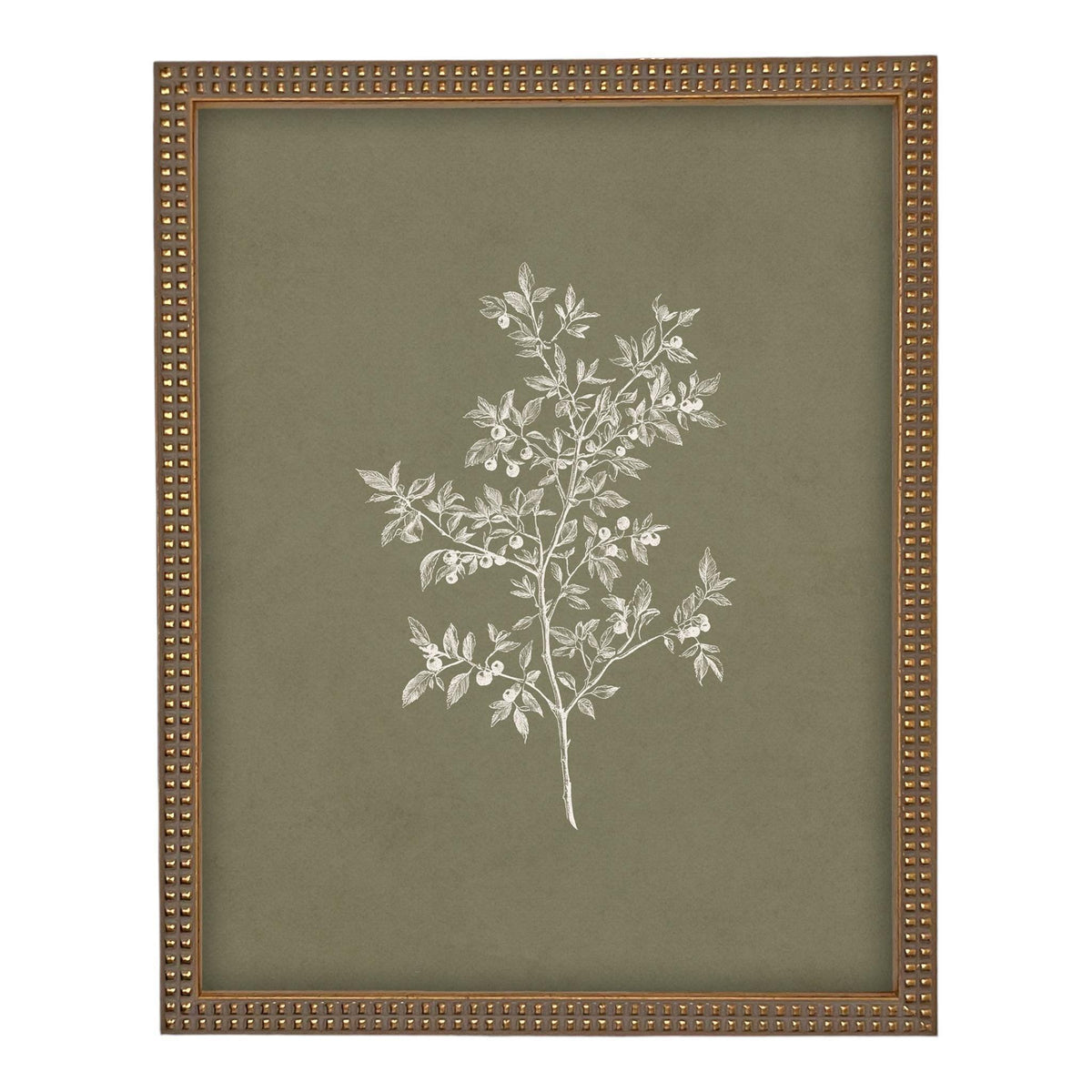 Framed Vintage Botanical Print on Canvas #ST-170