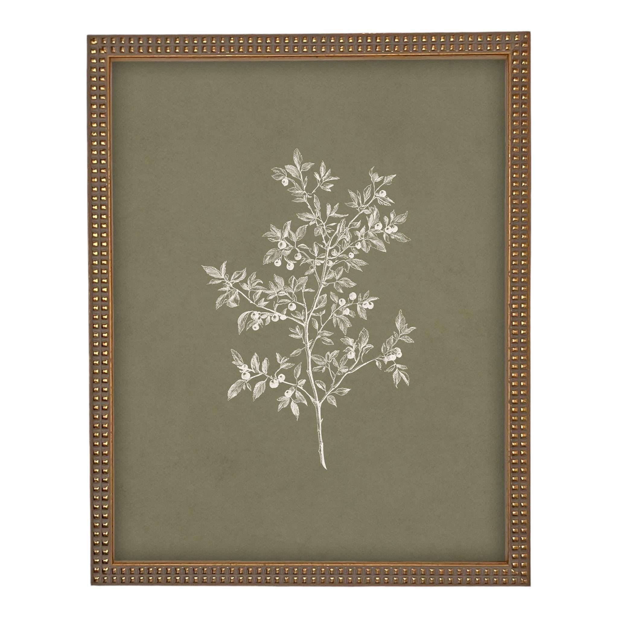 Framed Vintage Botanical Print on Canvas #ST-170