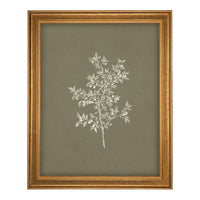 Framed Vintage Botanical Print on Canvas #ST-170