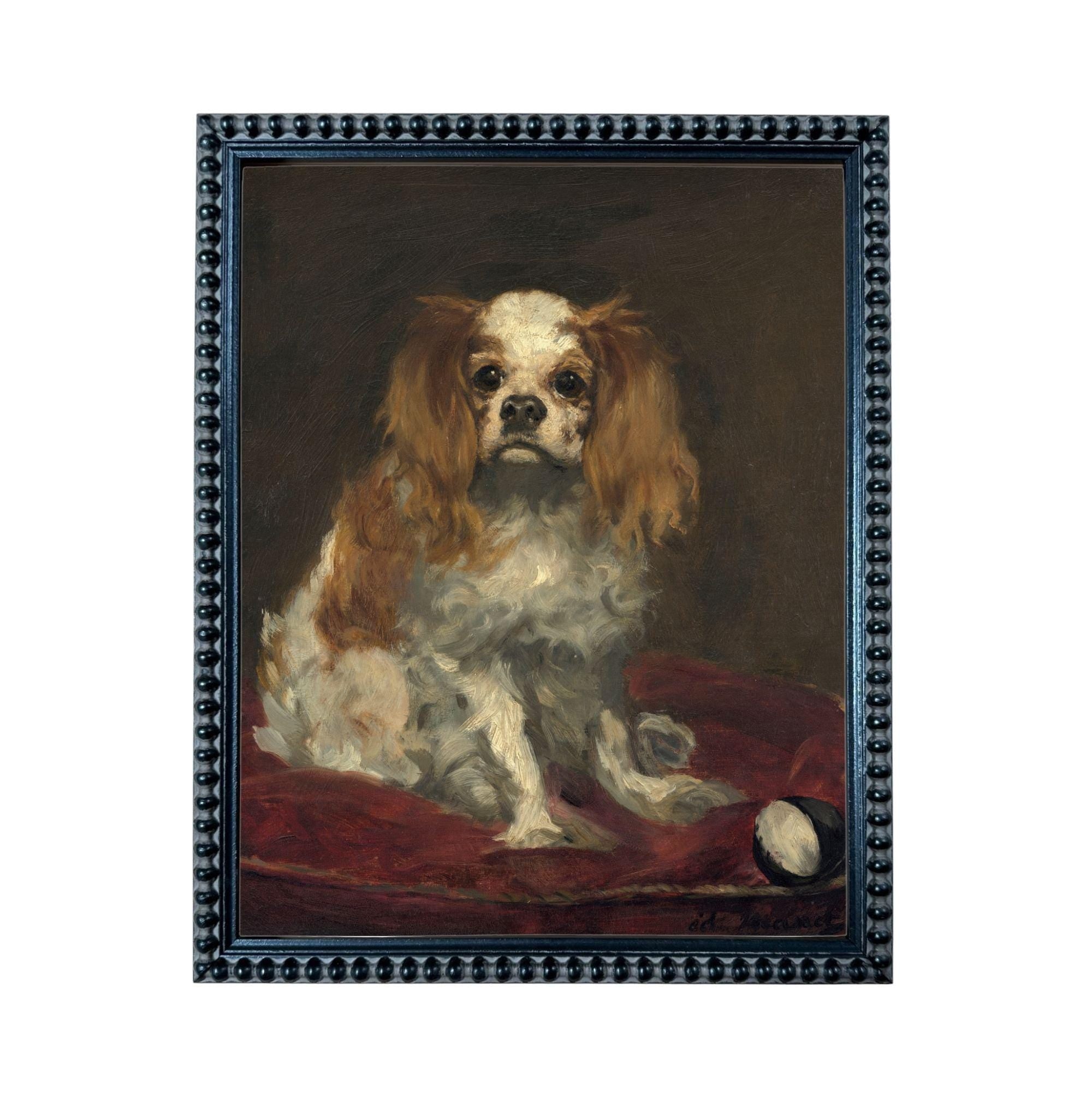 A portrait of a Cavalier King Charles Spaniel dog sitting on a red cushion, with a tennis ball nearby.