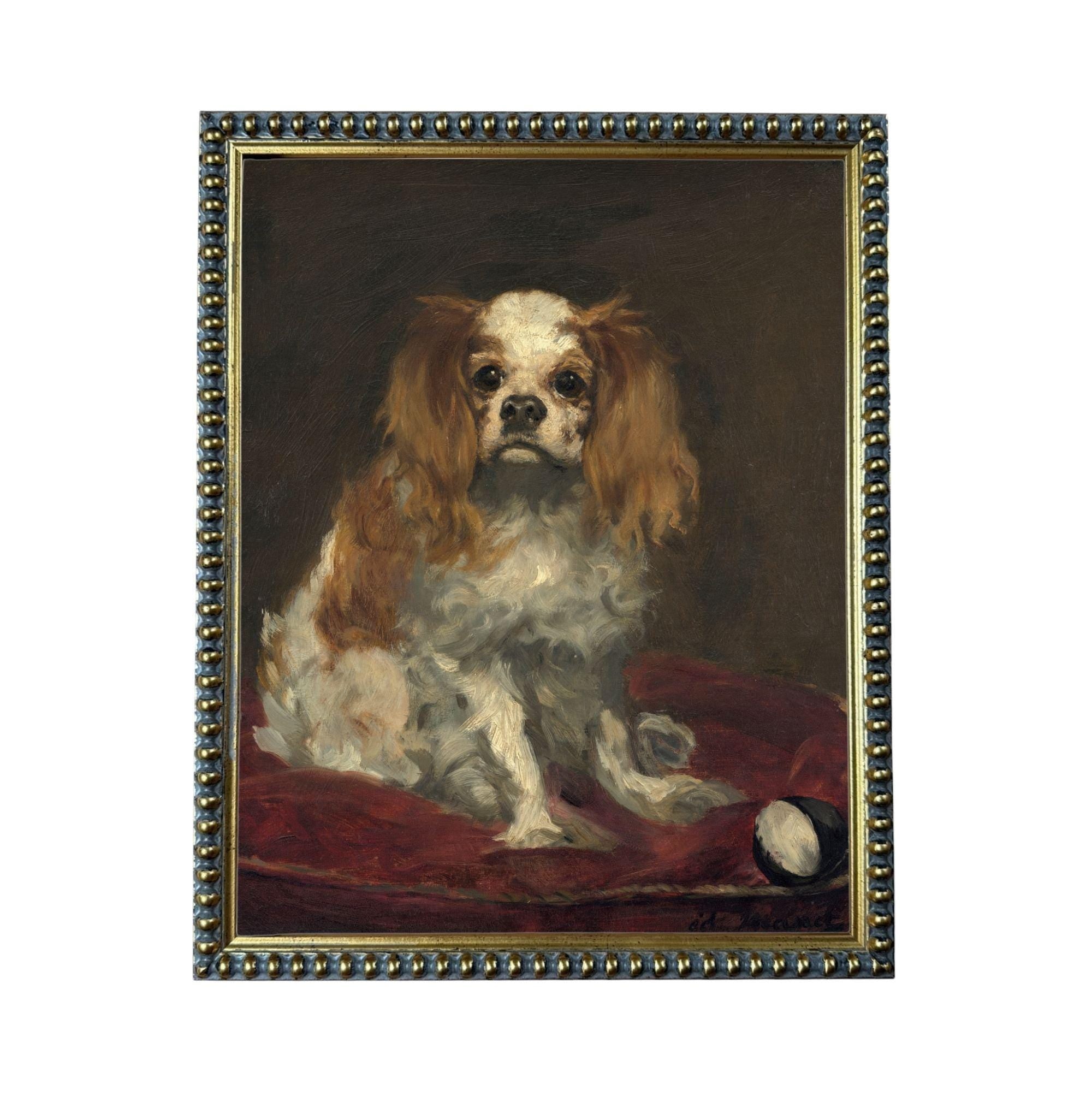 A portrait of a Cavalier King Charles Spaniel dog sitting on a red cushion, with a tennis ball nearby.