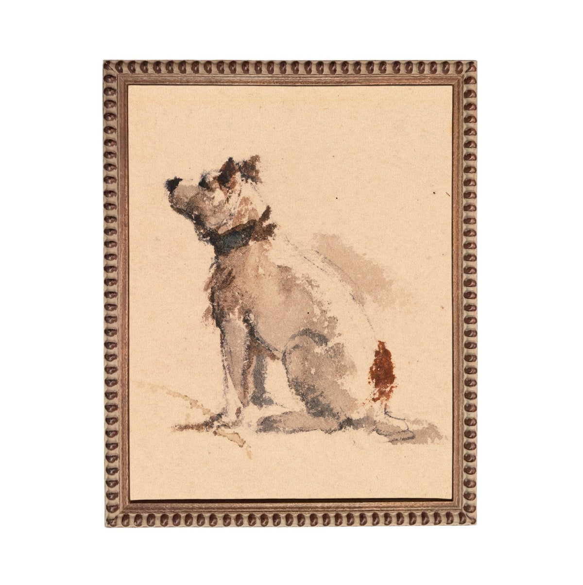 a dog sitting on the ground.