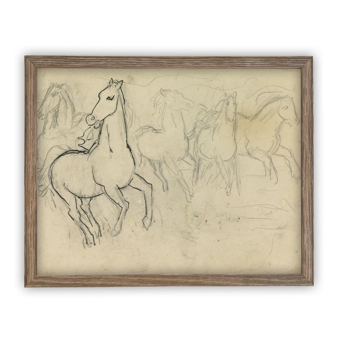 Vintage Framed Canvas Art Vintage Horse Sketch Art #A-128