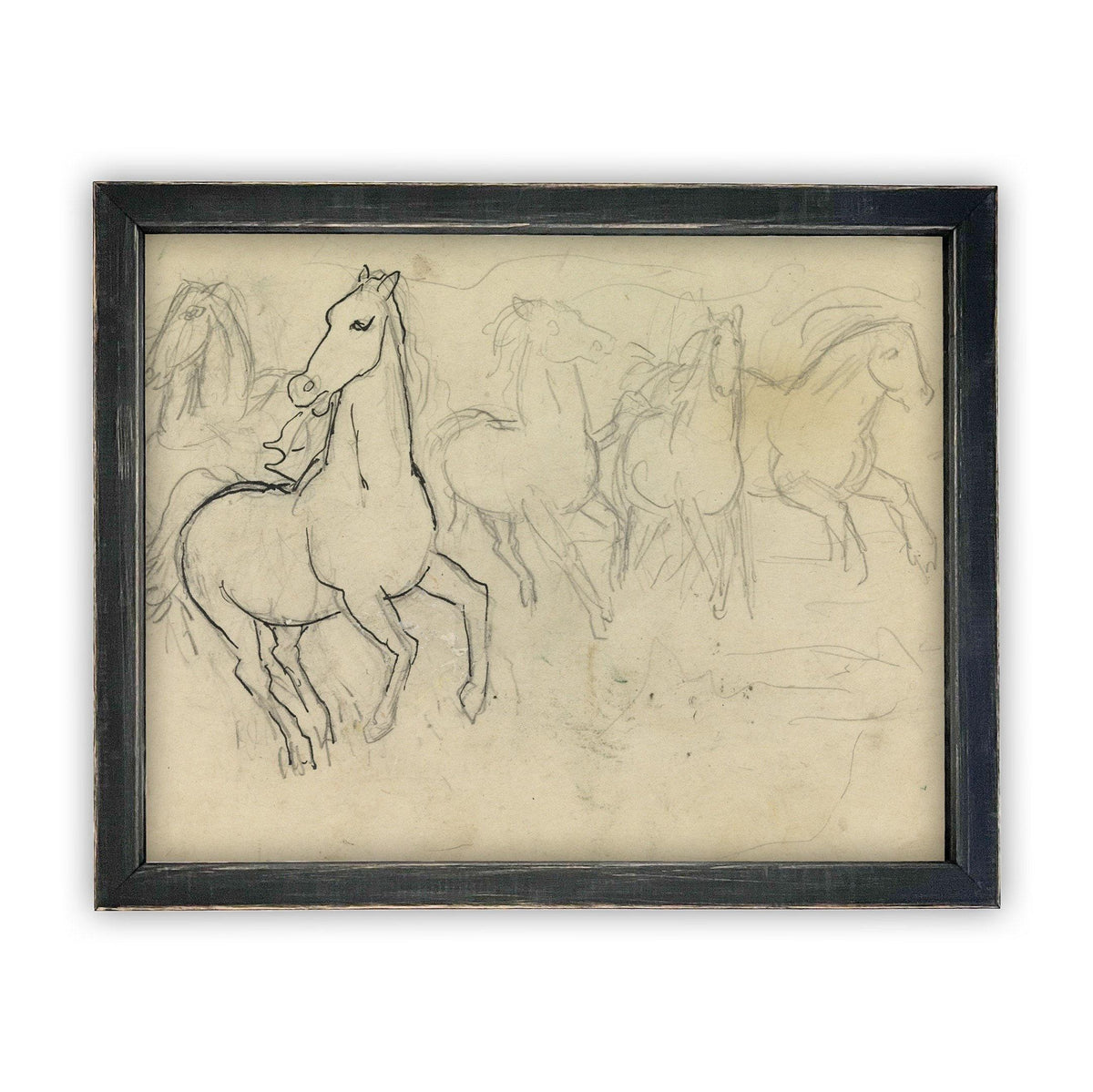 READY to SHIP 8X10 Vintage Framed Horse Sketch Art Print: Farmhouse Canvas