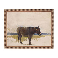 a donkey standing in a field.
