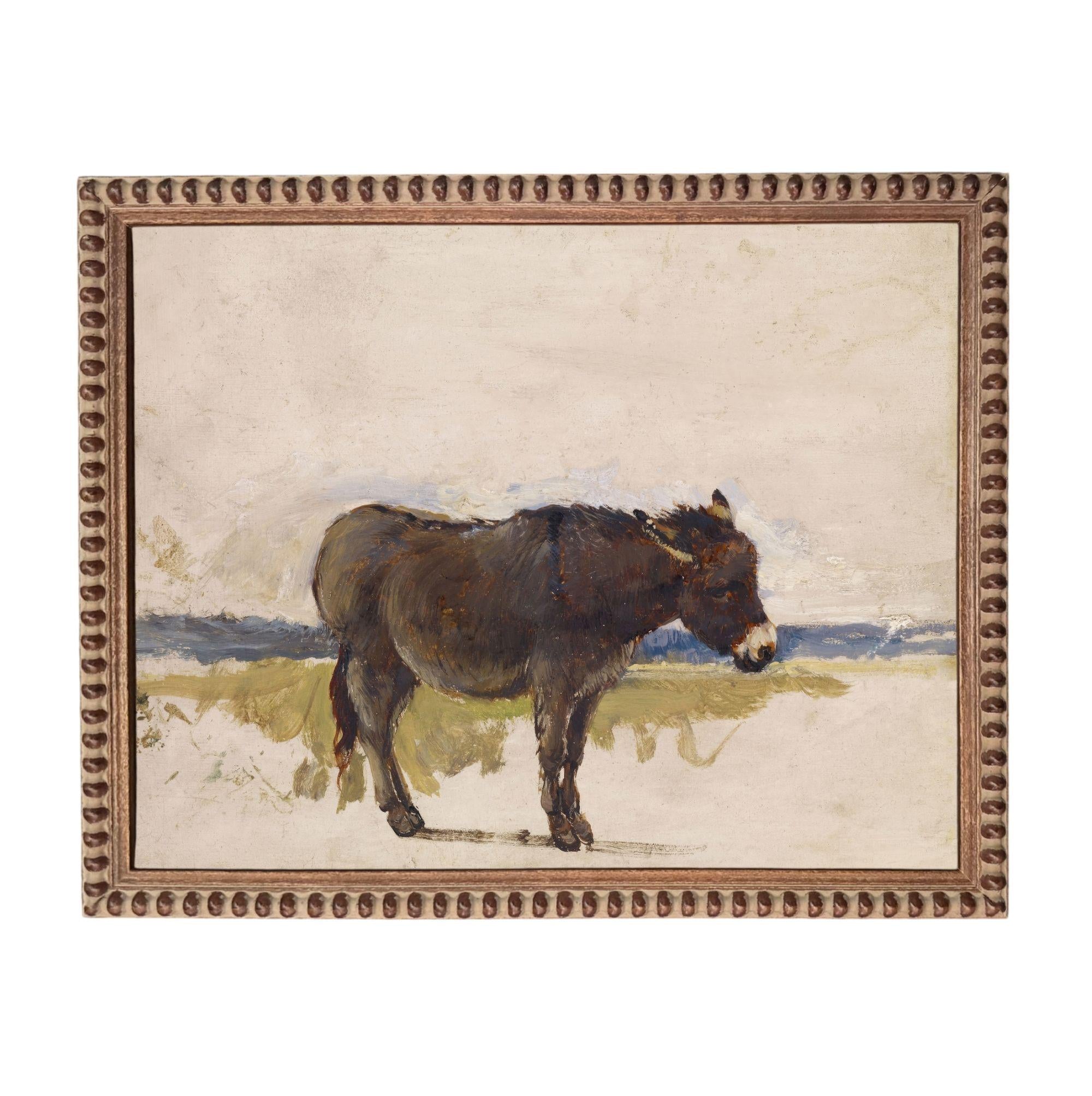 a donkey standing in a field.