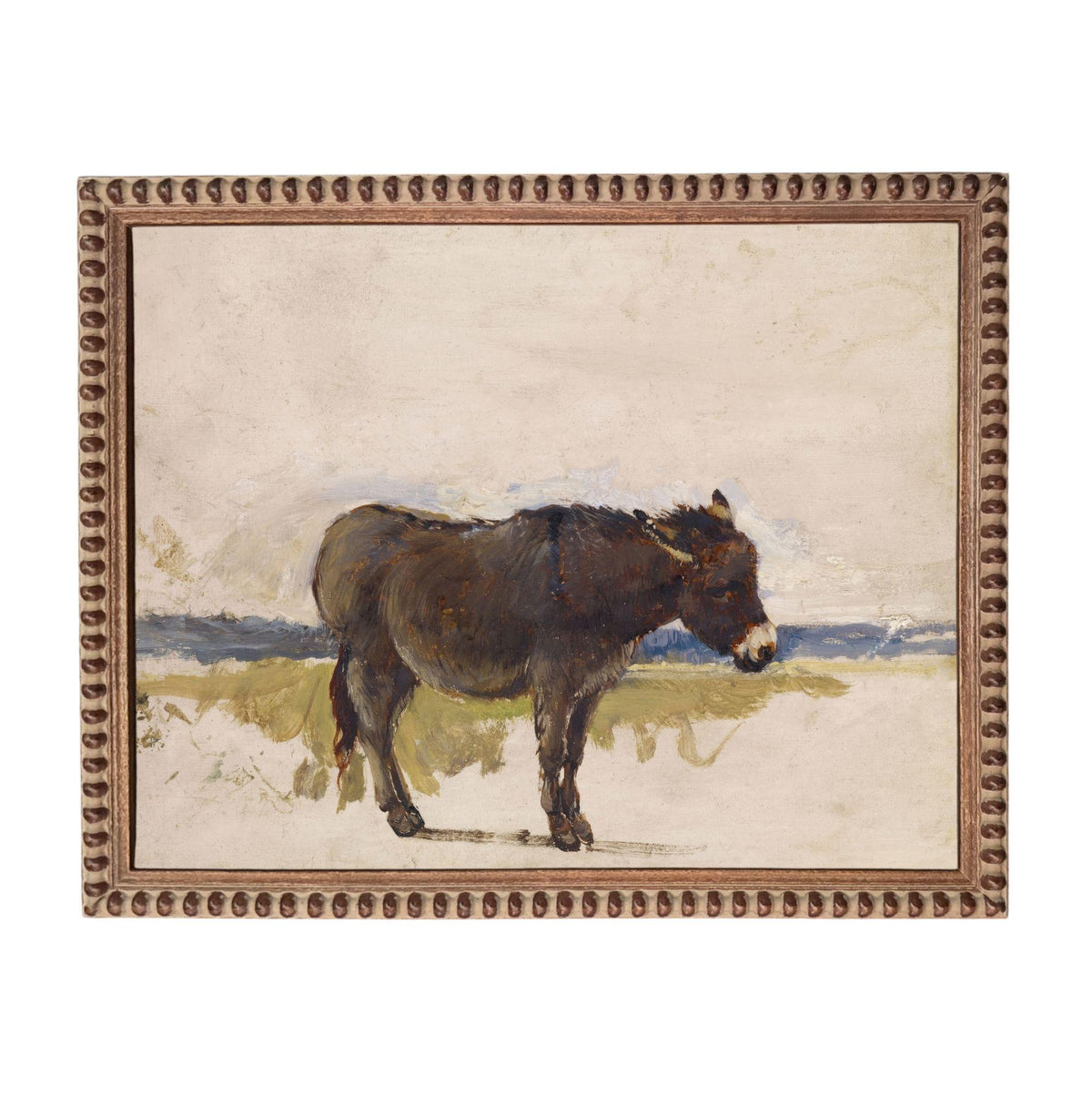 a donkey standing in a field.