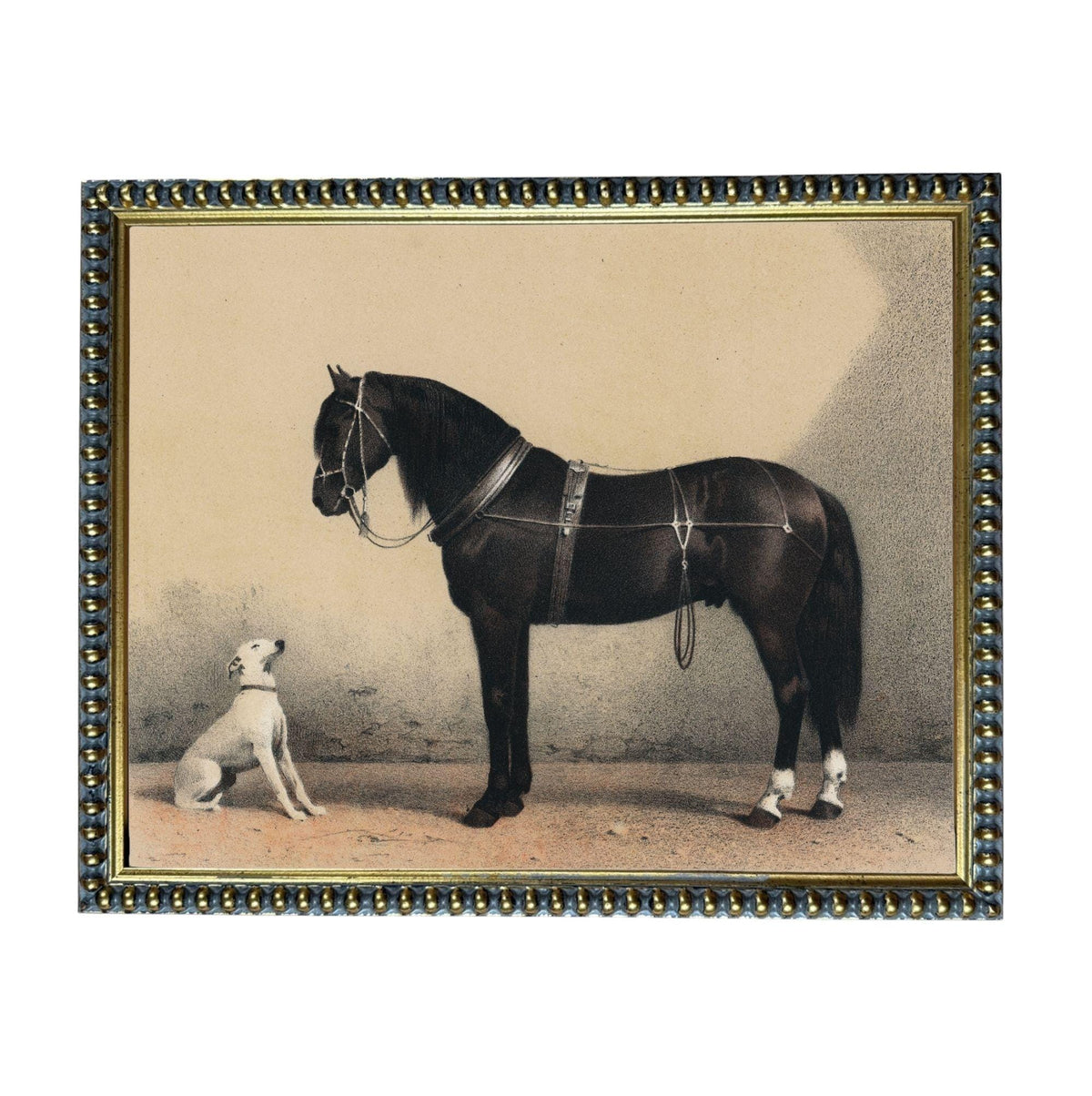 A black horse and a white dog standing together in a simple, black and white image.
