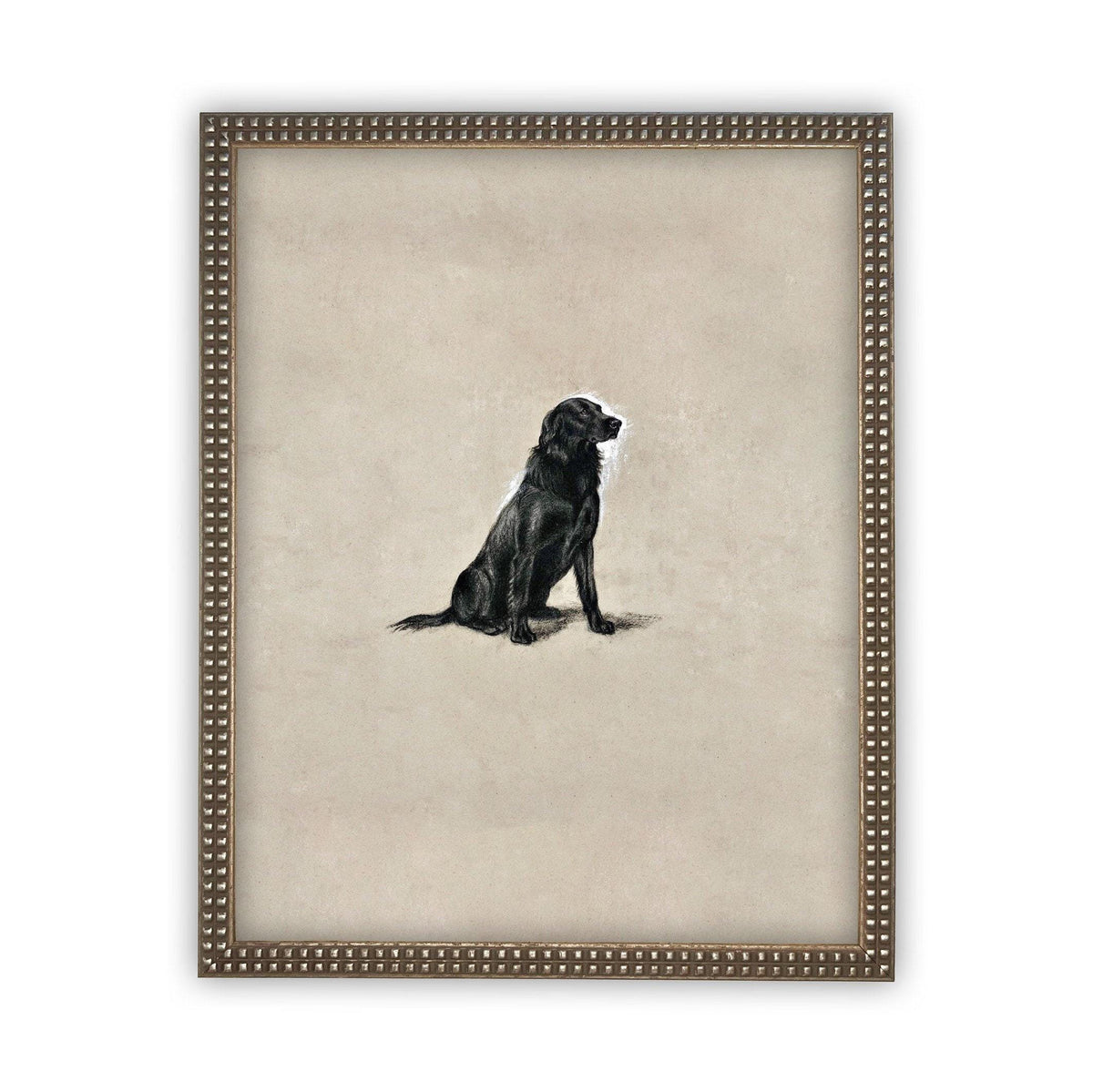Framed Canvas Art #A-118