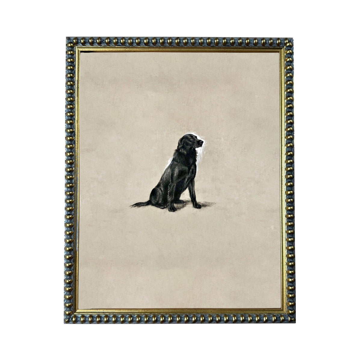 A black dog sitting on a beige background, framed in a decorative gold frame.