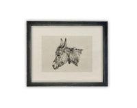 Vintage Framed Canvas Art #A-177