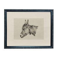 A framed black and white illustration of a donkey's head.