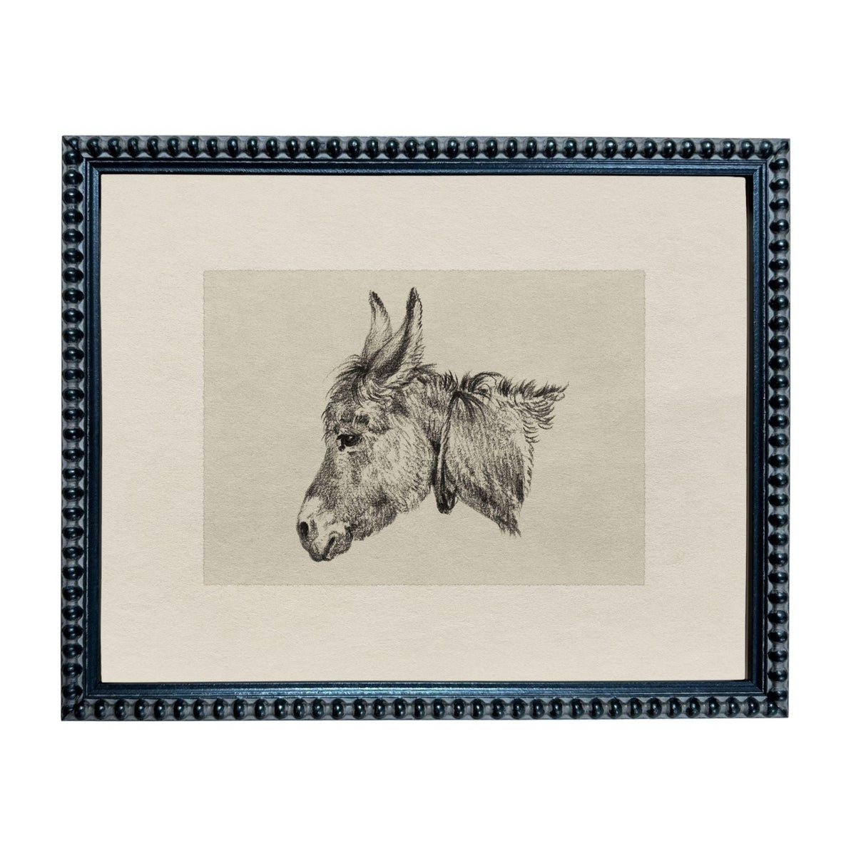 A framed black and white illustration of a donkey's head.