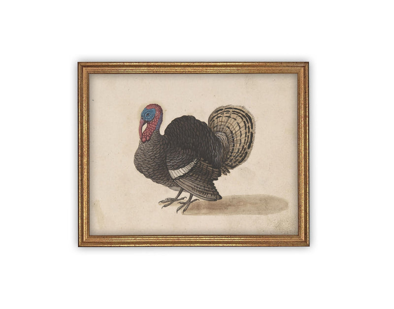 Vintage Framed Canvas Art #A-172