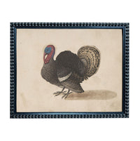 A framed illustration of a turkey, depicting a detailed and realistic representation of the bird.
