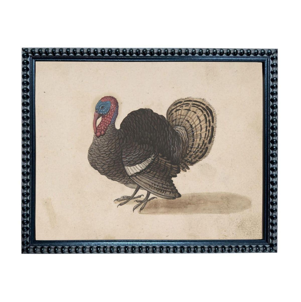 A framed illustration of a turkey, depicting a detailed and realistic representation of the bird.