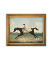 Vintage Framed Canvas Art #A-189