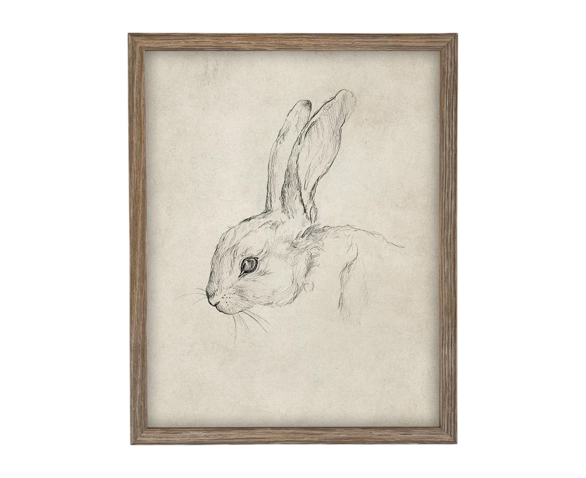 Vintage Framed Bunny Sketch Art #A-204