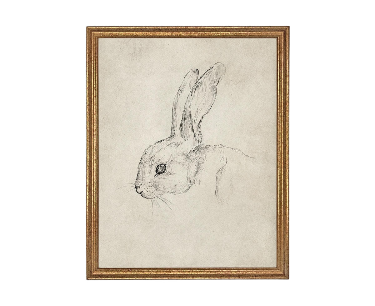 Vintage Framed Bunny Sketch Art #A-204