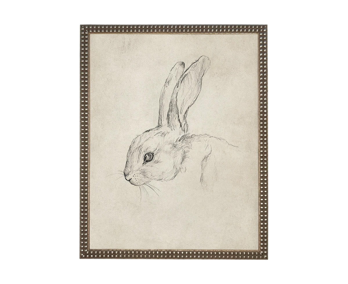 Vintage Framed Bunny Sketch Art #A-204