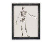 Vintage Framed Canvas Skeleton Sketch Art #H-105