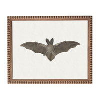 a bat with its wings spread wide, captured in a framed artwork.