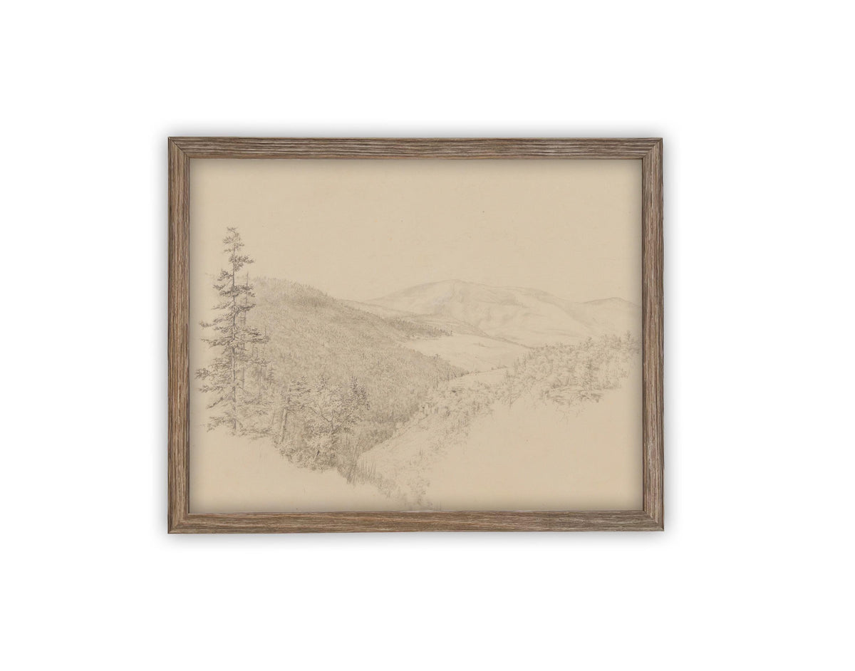 Vintage Framed Canvas Art #LAN-233