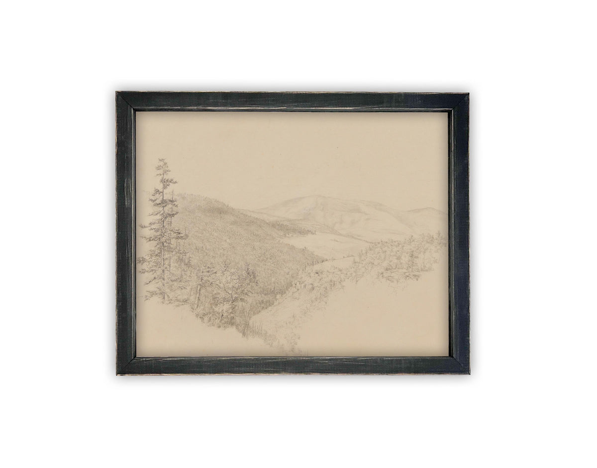 Vintage Framed Canvas Art #LAN-233