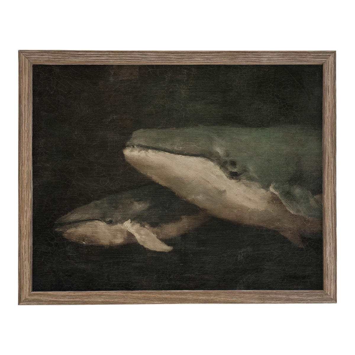 Framed Vintage Nautical Whale Art #COAS-206