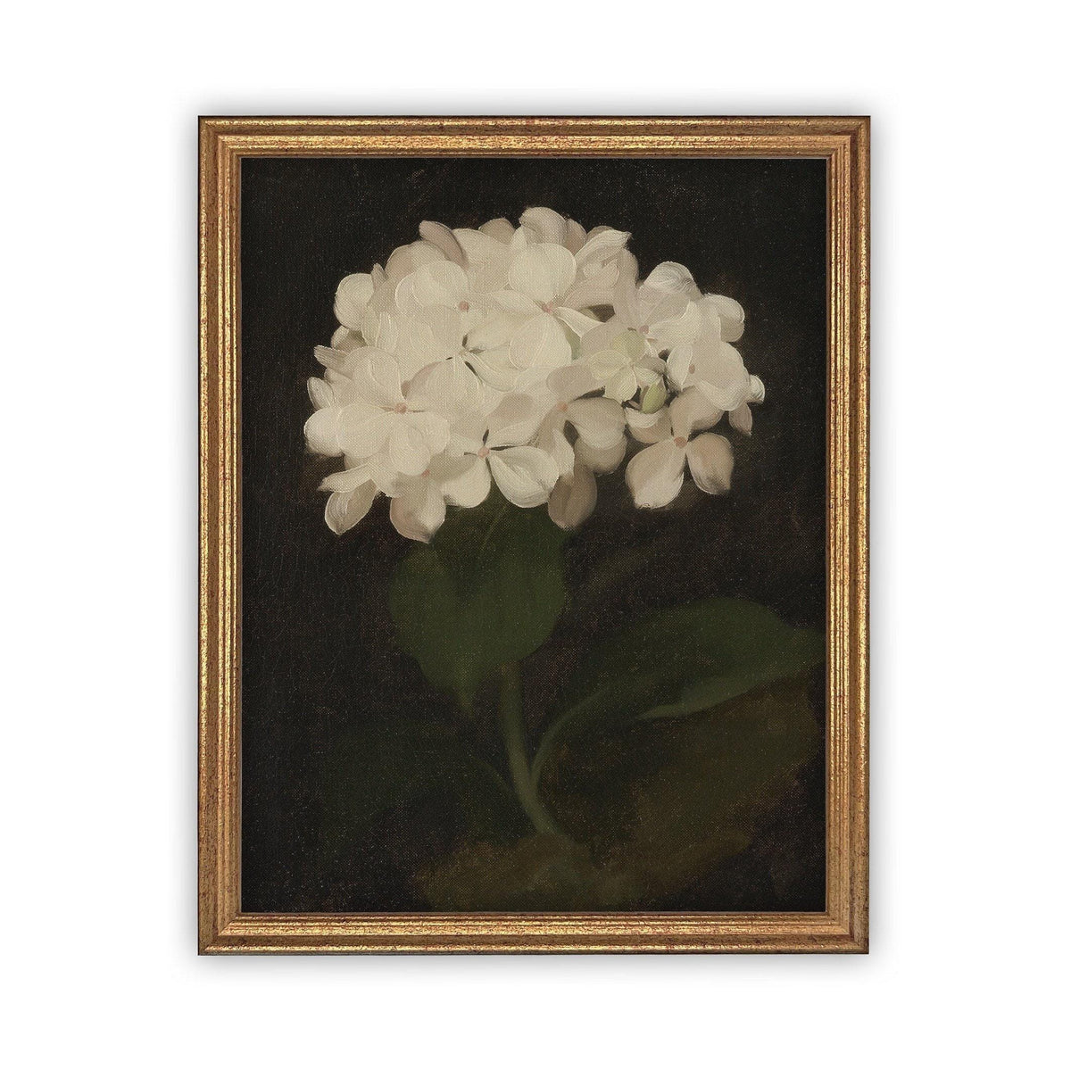 Framed Canvas Botanical Floral Art #BOT-103