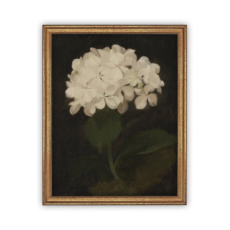 Framed Canvas Botanical Floral Art #BOT-103