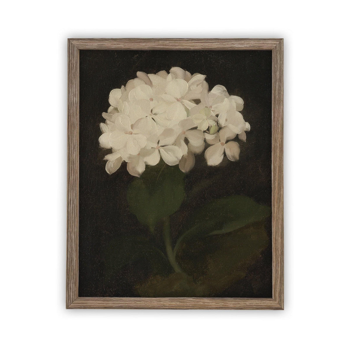 Framed Canvas Botanical Floral Art #BOT-103
