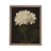 Framed Canvas Botanical Floral Art #BOT-103