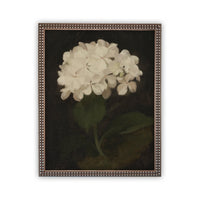 Framed Canvas Botanical Floral Art #BOT-103
