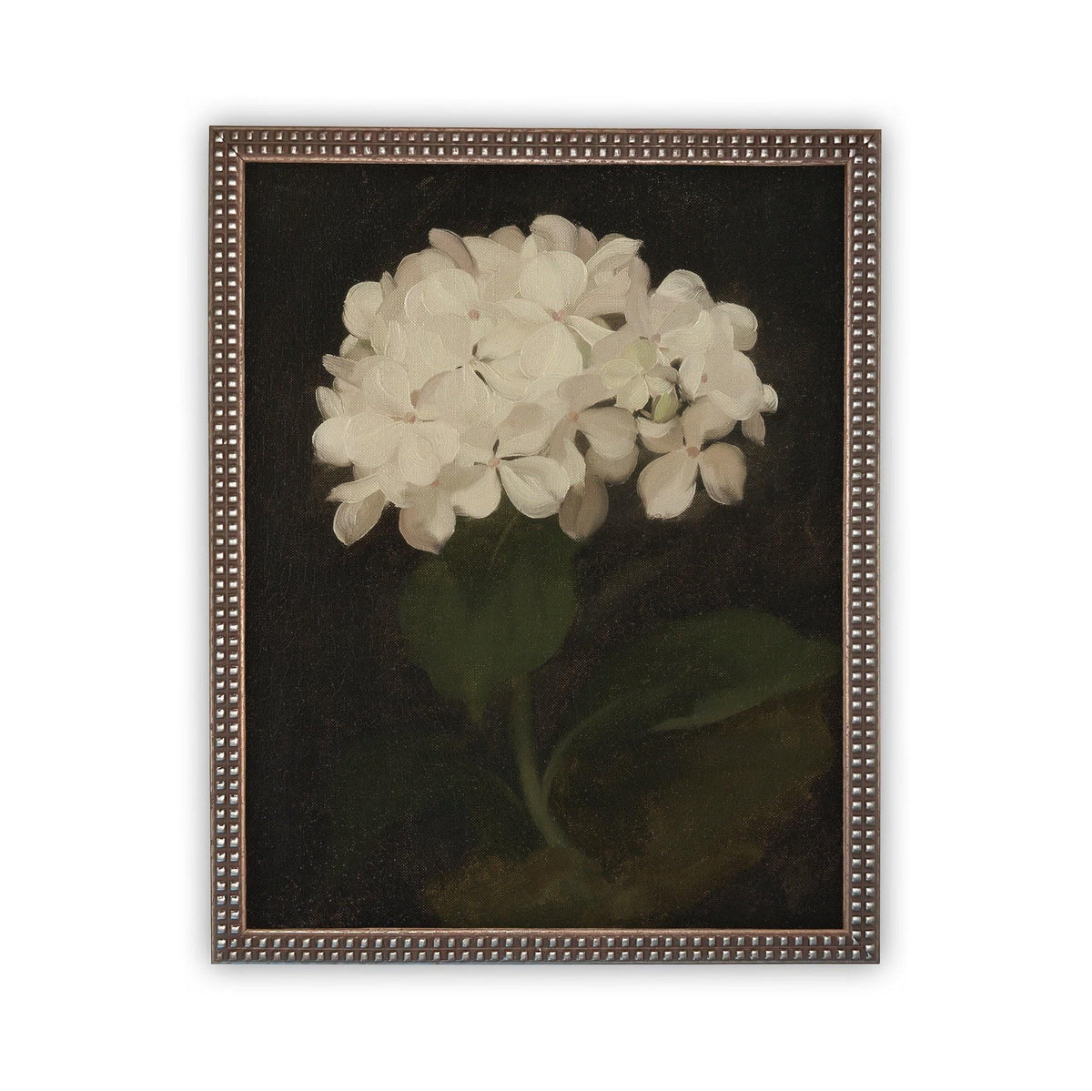 Framed Canvas Botanical Floral Art #BOT-103