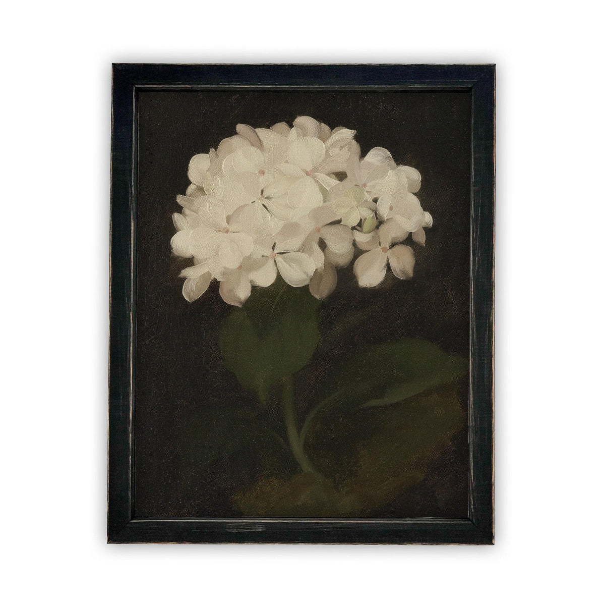 Framed Canvas Botanical Floral Art #BOT-103