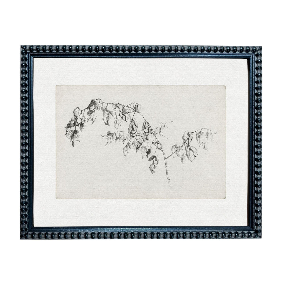 A framed black and white sketch of a branch with leaves.
