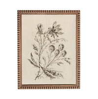 The image is a framed print depicting a detailed botanical illustration of a plant with various flowers and leaves.