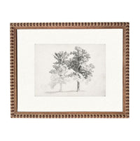 The image is a framed artwork depicting a tree with a sketch-like style.