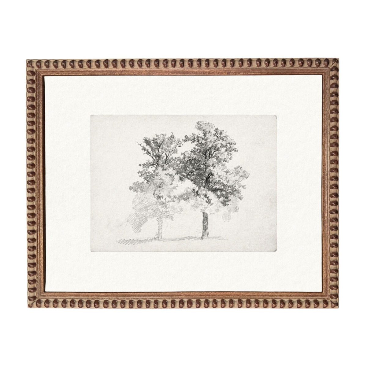 The image is a framed artwork depicting a tree with a sketch-like style.